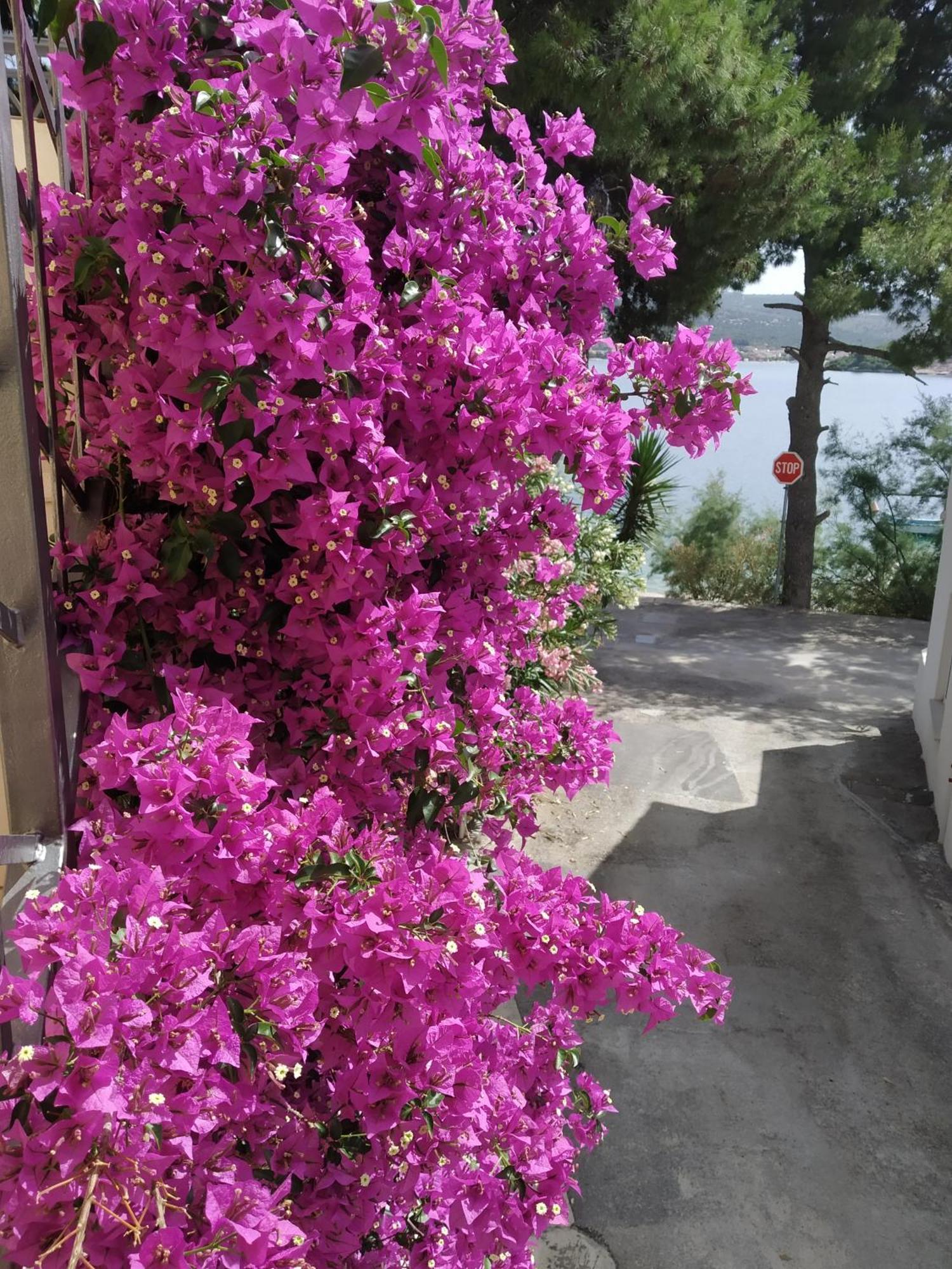 Holiday Home Milenka Rogoznica  Exteriér fotografie