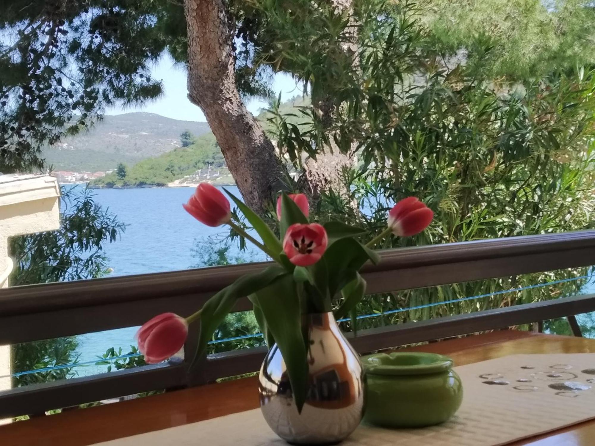 Holiday Home Milenka Rogoznica  Exteriér fotografie